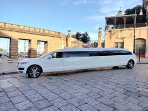 Addio al celibato in limousine