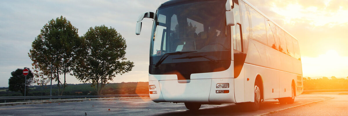 autobus-pullman-invitati-matrimonio-gambino