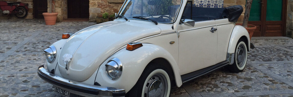 maggiolino-anteprima-2